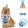 Unbranded Party Dog Decorative Animal Hat Party Decorative Hat Animal Accessories Triangle Scarf Party Dog Accessories Bowknot, Décoration D’anniversaire (bleu)