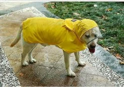 Unbranded Imperméable Pour Animaux De Compagnie Packable Hooded Dog Rain Jacket Reflective Strips Lightweight Adjustable Poncho Pour Petits Chiens Moyens Grands (1 Pack, Jaune, L) -nourriture pour chien boutique 596737481 max