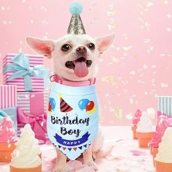 Unbranded Party Dog Decorative Animal Hat Party Decorative Hat Animal Accessories Triangle Scarf Party Dog Accessories Bowknot, Décoration D’anniversaire (bleu) -nourriture pour chien boutique 596737697 max