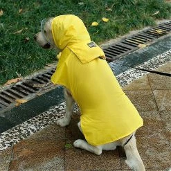 Unbranded Imperméable Pour Animaux De Compagnie Packable Hooded Dog Rain Jacket Reflective Strips Lightweight Adjustable Poncho Pour Petits Chiens Moyens Grands (1 Pack, Jaune, L) -nourriture pour chien boutique 596737731 max