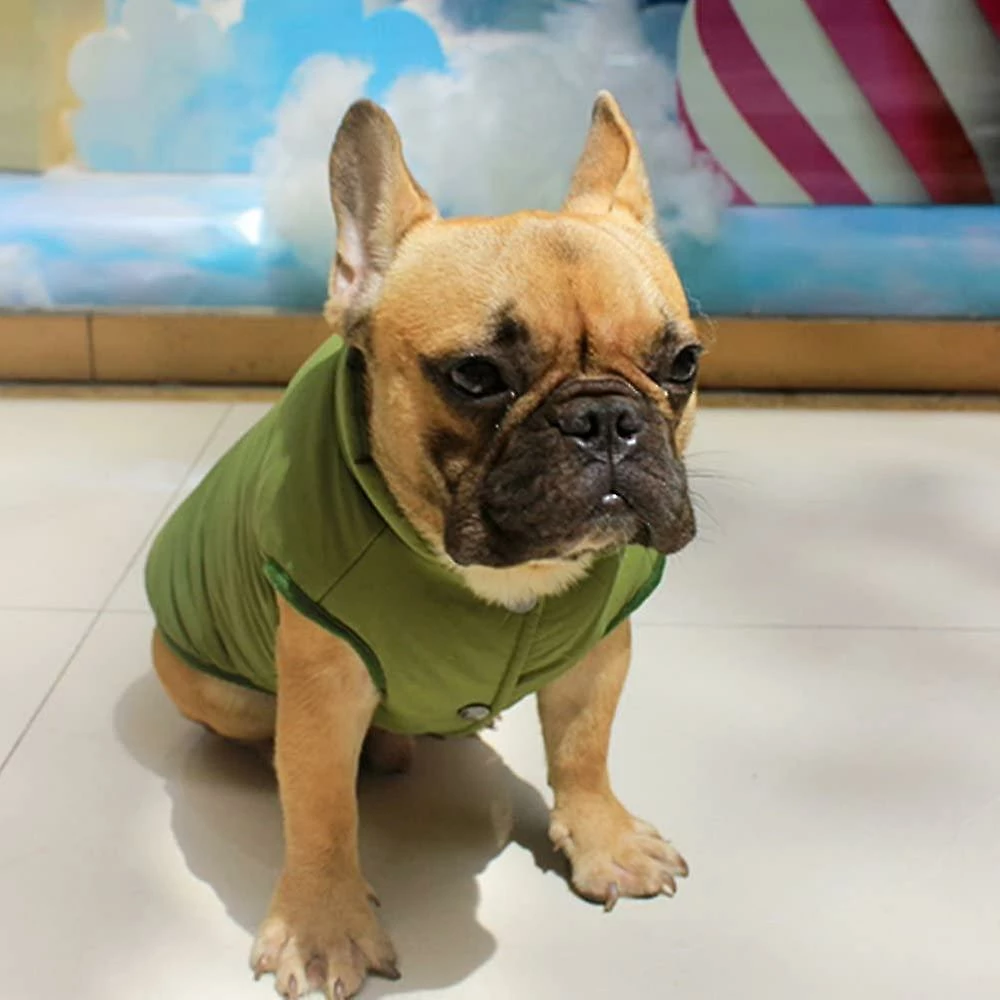 Unbranded Green L Dog Winter Coat Set Dog Warm Jacket Manteau Doublé D’hiver Français Bulldog Karin Dog Dress Vest 4 Unbranded Green L Dog Winter Coat Set Dog Warm Jacket Manteau Doublé D’hiver Français Bulldog Karin Dog Dress Vest – Image 4