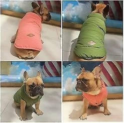 Unbranded Green L Dog Winter Coat Set Dog Warm Jacket Manteau Doublé D’hiver Français Bulldog Karin Dog Dress Vest 9 Unbranded Green L Dog Winter Coat Set Dog Warm Jacket Manteau Doublé D’hiver Français Bulldog Karin Dog Dress Vest -nourriture pour chien boutique 596739230 max