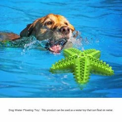 Unbranded Squeaky Pet Chew Toy Resistant Dog Molar Stick Tooth Cleaning Tool -nourriture pour chien boutique 599975312 max