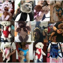 Unbranded Mesh Pet Dog Carrier Sac à Dos Camouflage Respirant Produits De Voyage En Plein Air Sacs Pour Petit Chien -nourriture pour chien boutique 600909863 max