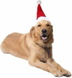 Unbranded Réglable Pet Dog Noël Noël Hat Pour Grands Chiens Moyens Chats Noël Party Dress Up -nourriture pour chien boutique 603161387 max