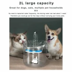 Unbranded Cat Dog Water Fountain Filter Automatic Sensor Drinker Pour Chats Feeder Pet Water Dispenser Auto Drinking Fountain 2l Pour Les Animaux De Compagnie 7 Unbranded Cat Dog Water Fountain Filter Automatic Sensor Drinker Pour Chats Feeder Pet Water Dispenser Auto Drinking Fountain 2l Pour Les Animaux De Compagnie -nourriture pour chien boutique 607776656 max