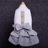 Unbranded Dresses For Small & Medium Dog Spring Summer British Style Clothes Summer P