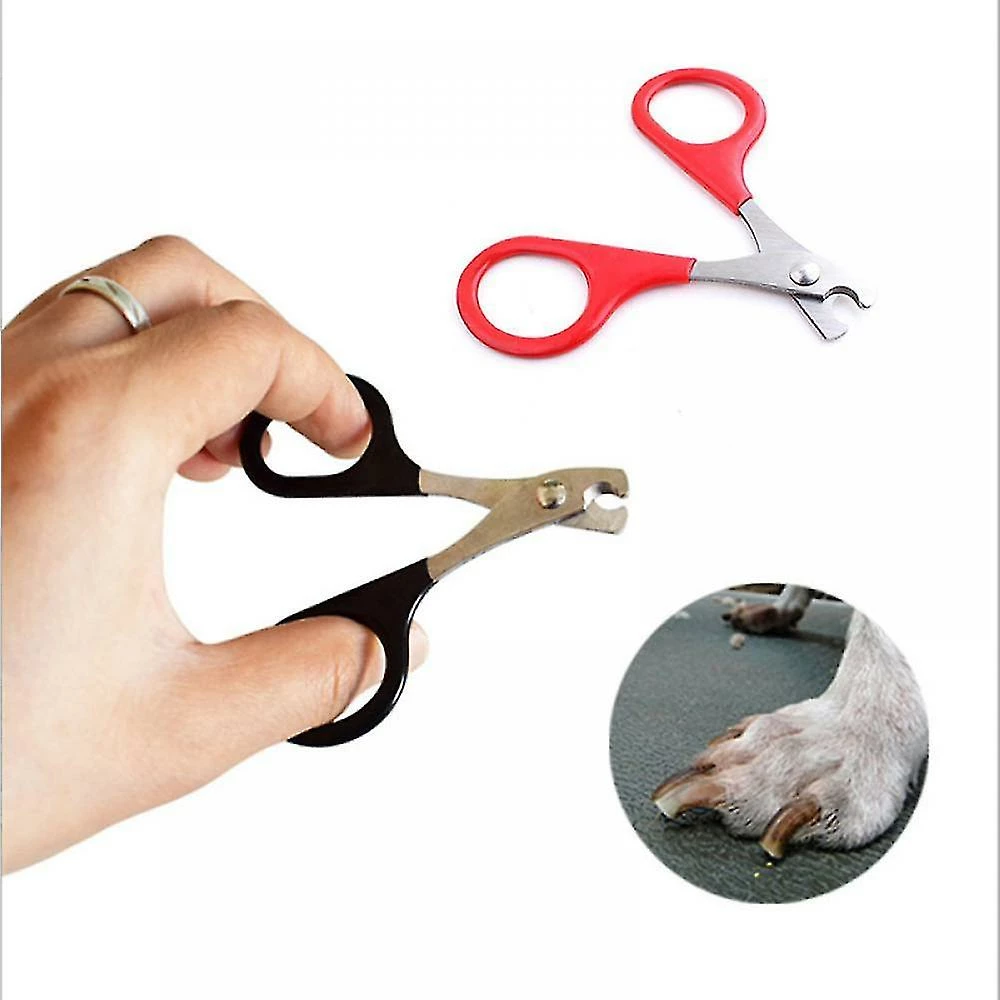 Unbranded Pet Nail Clipper Dog Cat Stainless Steel Durable Easy Use Cutter Puppy Kitt 2 Unbranded Pet Nail Clipper Dog Cat Stainless Steel Durable Easy Use Cutter Puppy Kitt – Image 2