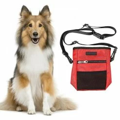 Unbranded Multi-function Portable Dog Treat Bag Reflective Pet Outdoor Training Aid B 8 Unbranded Multi-function Portable Dog Treat Bag Reflective Pet Outdoor Training Aid B -nourriture pour chien boutique 609742954 max