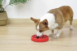 Unbranded Shxx Slow Feeder Dog Bowl, Pet Slow Feeding Plate, Maze Interactive Dog Puzzle, Fun Feeder Expansion Stop Slow Bowl, Non Toxique Et Anti-suffocation, 7 Unbranded Shxx Slow Feeder Dog Bowl, Pet Slow Feeding Plate, Maze Interactive Dog Puzzle, Fun Feeder Expansion Stop Slow Bowl, Non Toxique Et Anti-suffocation, -nourriture pour chien boutique 610636279 max