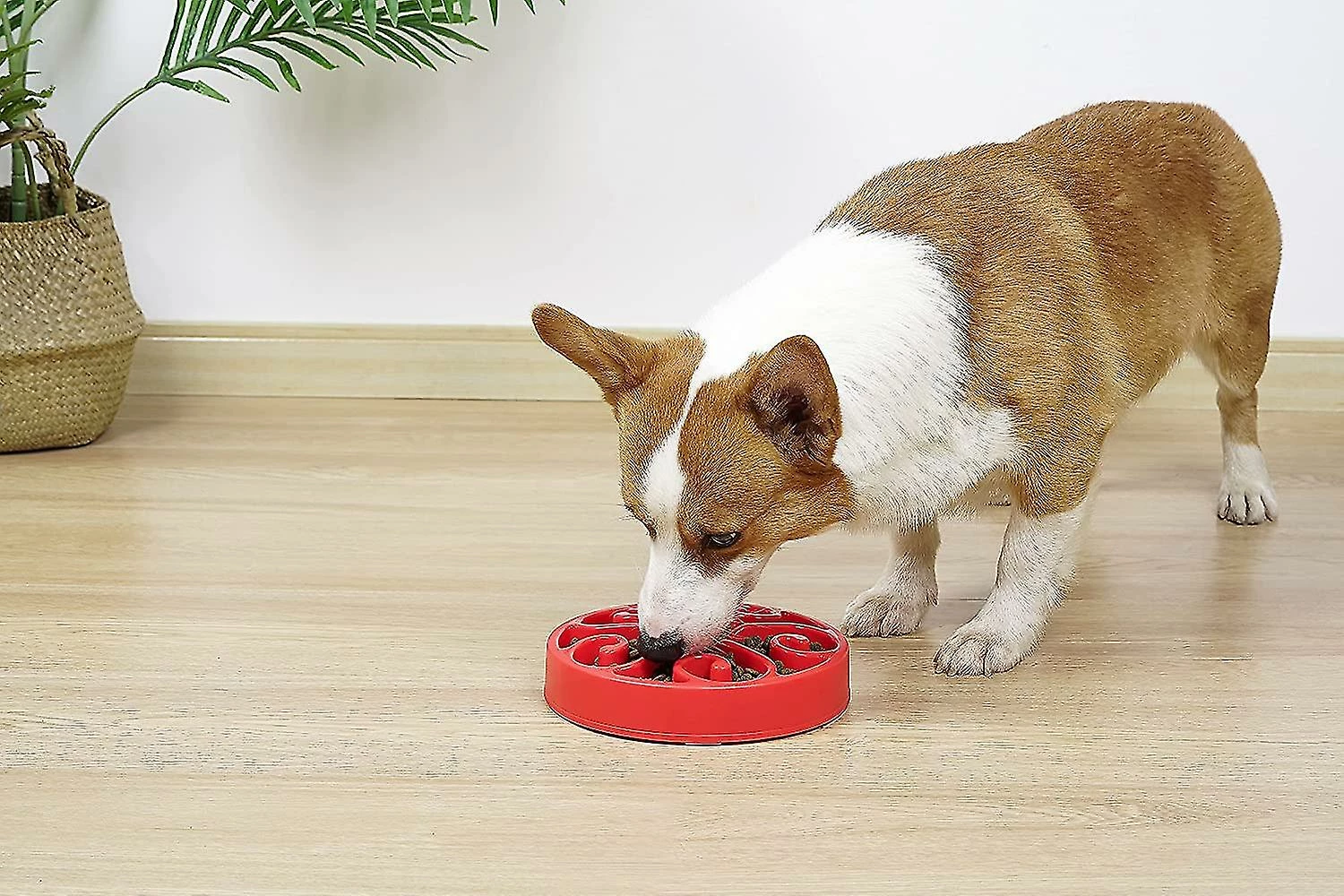 Unbranded Shxx Slow Feeder Dog Bowl, Pet Slow Feeding Plate, Maze Interactive Dog Puzzle, Fun Feeder Expansion Stop Slow Bowl, Non Toxique Et Anti-suffocation, 4 Unbranded Shxx Slow Feeder Dog Bowl, Pet Slow Feeding Plate, Maze Interactive Dog Puzzle, Fun Feeder Expansion Stop Slow Bowl, Non Toxique Et Anti-suffocation, â Image 4