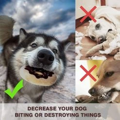 Liangnv Donut Peluche Toy Squeaky Chew Toy Dog Toy Set Pour Petit Et Moyen Puppy Dogs Pets Interact Gift 9 Liangnv Donut Peluche Toy Squeaky Chew Toy Dog Toy Set Pour Petit Et Moyen Puppy Dogs Pets Interact Gift -nourriture pour chien boutique 612245049 max