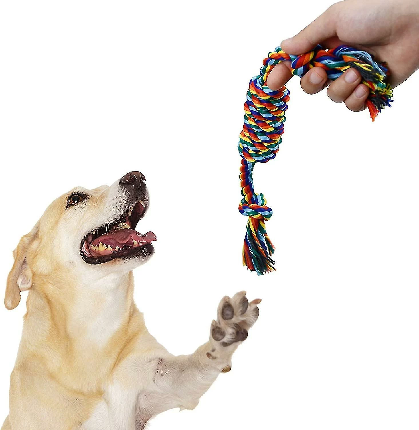 Heytea 4 Pcscotton Dog Ropes Set, Jouet Interactif De Corde De Chien, Jouet De Corde De Chiot Pour Mâcher Cadeau 5 Heytea 4 Pcscotton Dog Ropes Set, Jouet Interactif De Corde De Chien, Jouet De Corde De Chiot Pour Mâcher Cadeau – Image 5