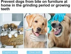 Heytea Multifonction Dog Fetch Toy Pet Suppliy Dog Ball Launcher Avec Télescopique -nourriture pour chien boutique 612288992 max