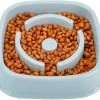 Unbranded Dog Slow Feeder Bowl, Anti Slip Puzzle Bowl - Plats D’alimentation Anti-avalants Pour Animaux De Compagnie Slower Food