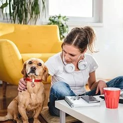 Unbranded Collier Pour Chien Pet Dog Chain Cat Collar Réglable Dog Collar Diamond Flash Dog Collar Dog Abdominal Wound Protection -nourriture pour chien boutique 620421665 max