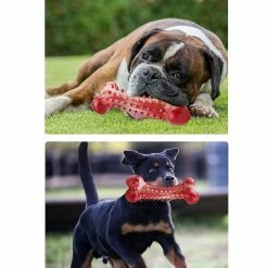 Unbranded Fournitures Pour Animaux De Compagnie Molar Stick Dog Chew Toy Tooth Cleaning Bone Shape Dog Toothbrush -nourriture pour chien boutique 620422430 max