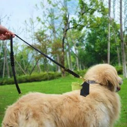 Unbranded Dog Poop Bag Holder Purse Waste Bag Dispenser Attaches à Leash For Walking 7 Unbranded Dog Poop Bag Holder Purse Waste Bag Dispenser Attaches à Leash For Walking -nourriture pour chien boutique 621133177 max
