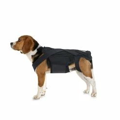 Unbranded Dog Back Brace Pour Ivdd, Pet Dog Back Brace Comfortable Full Body Harness Dog Clothing Dog Back Prot 6 Unbranded Dog Back Brace Pour Ivdd, Pet Dog Back Brace Comfortable Full Body Harness Dog Clothing Dog Back Prot -nourriture pour chien boutique 624679414 max