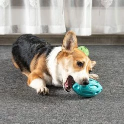 Unbranded Jouets à Mâcher De Chien Pour Mâcheurs Agressifs, Indestructible Dur Durable Squeaky Dog Toy 7 Unbranded Jouets à Mâcher De Chien Pour Mâcheurs Agressifs, Indestructible Dur Durable Squeaky Dog Toy -nourriture pour chien boutique 626941409 max