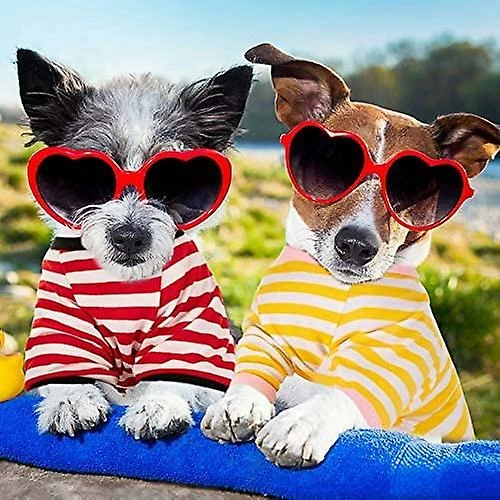 Giveuphesit 6 Pièces Chien Rayé T-shirt Chien Chemise Respirant Pet Apparel Coloré Puppy Sweatshirt Dog Vêtements Pour Chiens Petits à Moyens Chiot 5 Giveuphesit 6 Pièces Chien Rayé T-shirt Chien Chemise Respirant Pet Apparel Coloré Puppy Sweatshirt Dog Vêtements Pour Chiens Petits à Moyens Chiot – Image 5