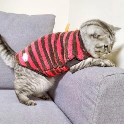 Unbranded Automne Hiver Chaud Rayé Deux Pattes Élastique Bottoming Chemise Pet Dog Clothes Qinhai -nourriture pour chien boutique 630001201 max