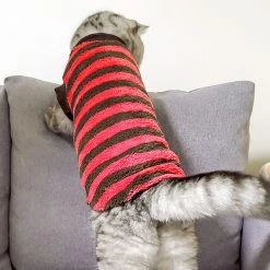 Unbranded Automne Hiver Chaud Rayé Deux Pattes Élastique Bottoming Chemise Pet Dog Clothes Qinhai -nourriture pour chien boutique 630001202 max