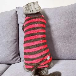 Unbranded Automne Hiver Chaud Rayé Deux Pattes Élastique Bottoming Chemise Pet Dog Clothes Qinhai -nourriture pour chien boutique 630001203 max