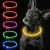 Wonderful Wow Jaune 70cm Led Dog Collar Lit Dog Collar Rechargeable Waterproof Pet Collar Peut être Coupé à Light Dog Collar Pet
