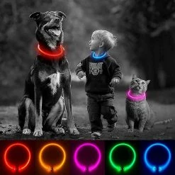 Wonderful Wow Jaune 70cm Led Dog Collar Lit Dog Collar Rechargeable Waterproof Pet Collar Peut être Coupé à Light Dog Collar Pet -nourriture pour chien boutique 631582714 max