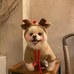 Wonderful Wow Xl Dog Cat Costume De Noël, Robe Drôle D’animal De Compagnie, Tenues De Chiot Vêtements De Noël Vêtements -nourriture pour chien boutique 631583136 max