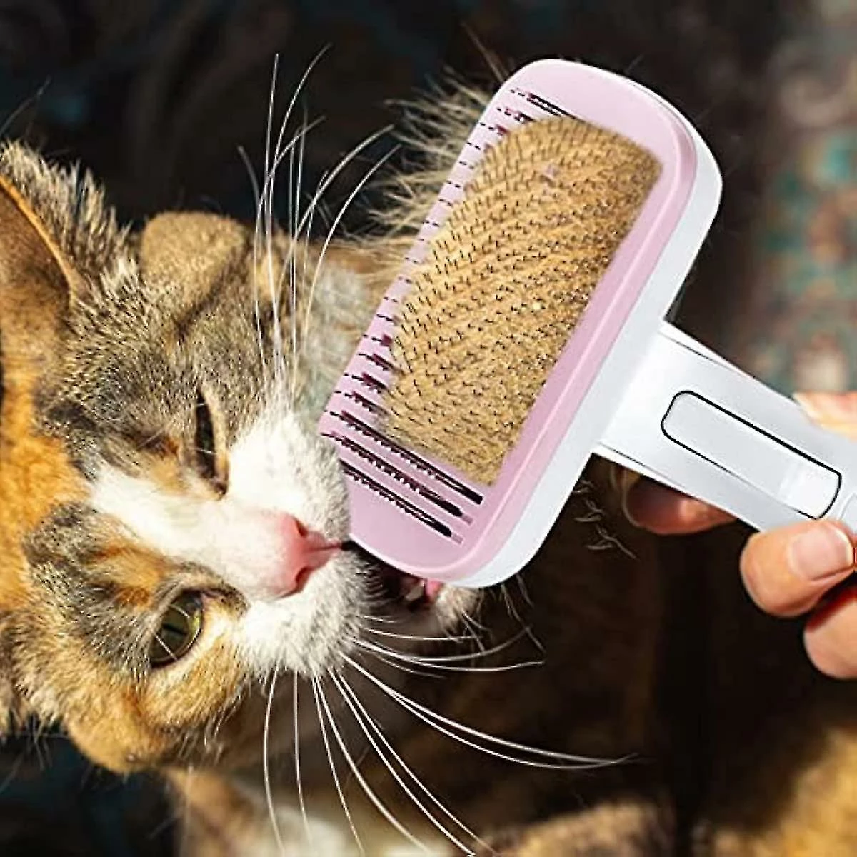 Unbranded Dog Brushes Slicker Brush For Dogs Pet Hair Removal Comb Professional Hair Grooming Tool For Dogs Stainless Steel Hair 3 Unbranded Dog Brushes Slicker Brush For Dogs Pet Hair Removal Comb Professional Hair Grooming Tool For Dogs Stainless Steel Hair – Image 3