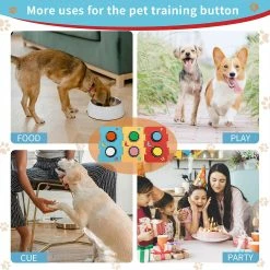 Unbrand Le Chien Avec Et Autocollants Utilise Six Jeux De Boutons De Couleur, Dog Training Buzzer, Enregistre Et Joue Vos Propres Informations, Et Enseigne à Votre Chien Le Son -nourriture pour chien boutique 639654850 max
