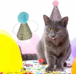 Unbranded Pet Birthday Hat Kitten Christmas Hat Party Pet Hat Dog Hat - 2 Pièces -nourriture pour chien boutique 642450641 max
