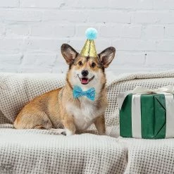 Unbranded Pet Birthday Hat Kitten Christmas Hat Party Pet Hat Dog Hat - 2 Pièces -nourriture pour chien boutique 642451040 max