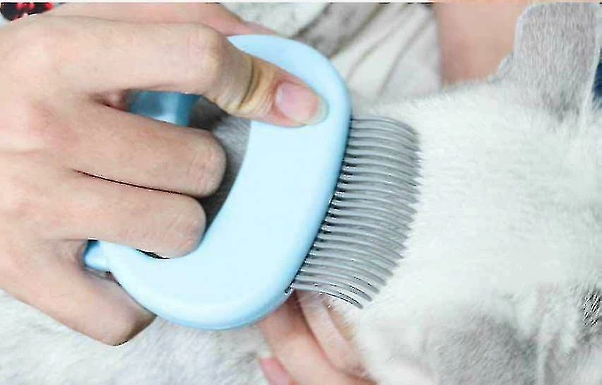 Unbranded Pet Cat Dog Massage Shell Peigne Peigne De Peigne De Chat Brosse De Nettoyage Convient Pour Le Toilettage Des Soins Des Poils D’animaux De Compagnie à La Brosse D’épilation Lâche Brosse Pour Animaux De Compagnie (vert)1pcs 5 Unbranded Pet Cat Dog Massage Shell Peigne Peigne De Peigne De Chat Brosse De Nettoyage Convient Pour Le Toilettage Des Soins Des Poils D’animaux De Compagnie à La Brosse D’épilation Lâche Brosse Pour Animaux De Compagnie (vert)1pcs – Image 5