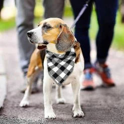 Unbranded 2 Pcs Dog Bandana Noël Classique Plaid Pet Bandana Foulard 8 Unbranded 2 Pcs Dog Bandana Noël Classique Plaid Pet Bandana Foulard -nourriture pour chien boutique 643778530 max