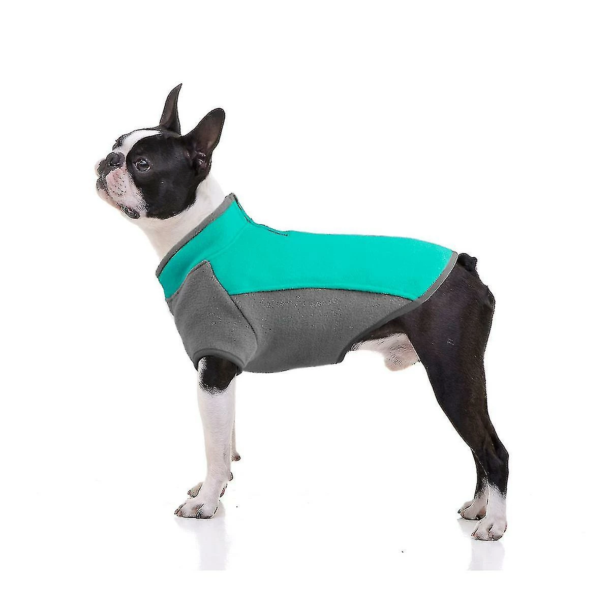 Dxn Pet Dog Warm Vest Manteau Vêtements Veste Petit Moyen Grand Chien Hiver Manteau Rembourré 1 Dxn Pet Dog Warm Vest Manteau Vêtements Veste Petit Moyen Grand Chien Hiver Manteau Rembourré
