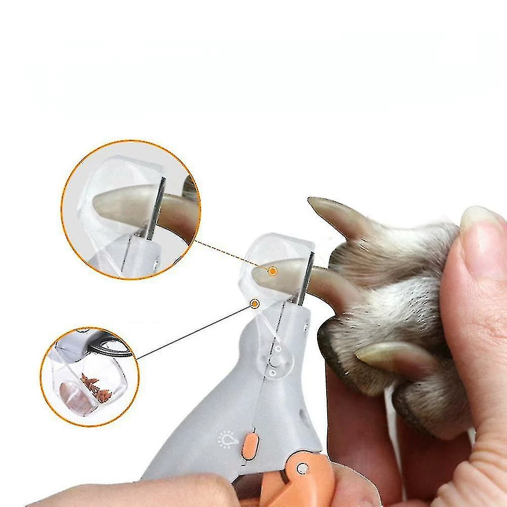 Dxn Professionnels Pet Nail Scissors Pet Dog Cat Nail Toe Claw Scissors Led Light Nail Trimmer For Animal Pets, 1 Pièce, Grey + Orange Shizhi Boutique 1 Dxn Professionnels Pet Nail Scissors Pet Dog Cat Nail Toe Claw Scissors Led Light Nail Trimmer For Animal Pets, 1 Pièce, Grey + Orange Shizhi Boutique