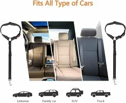 Unbranded Ceinture De Sécurité De Voiture Pour Chien, 2 Pack Appui-tête Réglable Pet Dog Seat Belt Ceinture De Sécurité En Plomb (noir) 7 Unbranded Ceinture De Sécurité De Voiture Pour Chien, 2 Pack Appui-tête Réglable Pet Dog Seat Belt Ceinture De Sécurité En Plomb (noir) -nourriture pour chien boutique 650359652 max