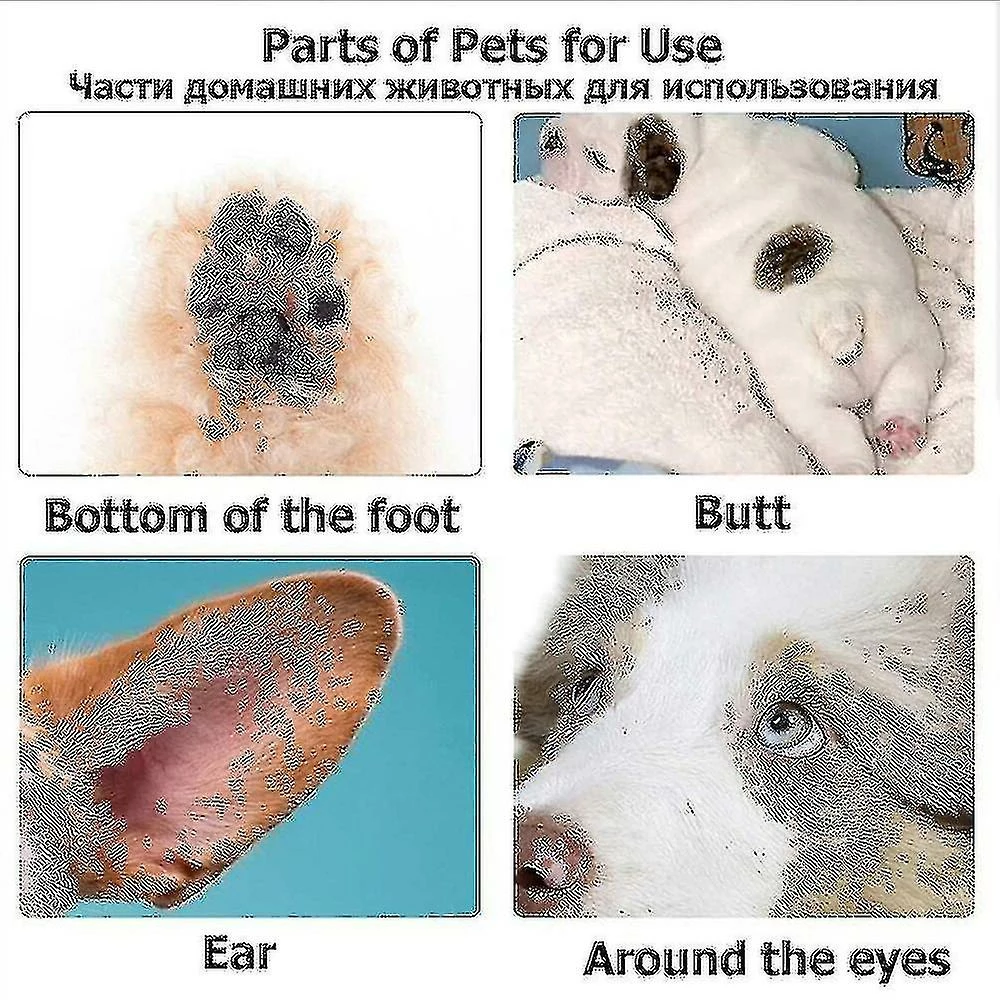 Unbranded Tondeuses Pour Chiens Professionnel Pet Foot Hair Trimmer Dog Growth Scissors Usb Rechargeable Butt Ear Eye Hair Clipper 3 Unbranded Tondeuses Pour Chiens Professionnel Pet Foot Hair Trimmer Dog Growth Scissors Usb Rechargeable Butt Ear Eye Hair Clipper – Image 3