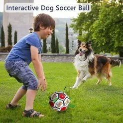 Unbranded Dog Toys Balls, Jouets Interactifs De Football Pour Chiens Avec Onglets De Saisie, Jouets De Jardin Pour Chiens En Plein Air -nourriture pour chien boutique 651736629 max