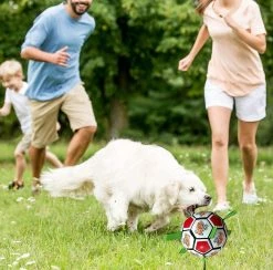 Unbranded Dog Toys Balls, Jouets Interactifs De Football Pour Chiens Avec Onglets De Saisie, Jouets De Jardin Pour Chiens En Plein Air -nourriture pour chien boutique 651736833 max