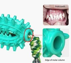 Unbranded Molar Chew Dog Toy - Multifonctionnel - Jouet à Mâcher - Jouet Interactif Molar - Jouet à Mâcher -nourriture pour chien boutique 651752995 max