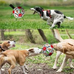 Unbranded Dog Toys Balls, Jouets Interactifs De Football Pour Chiens Avec Onglets De Saisie, Jouets De Jardin Pour Chiens En Plein Air -nourriture pour chien boutique 651753069 max
