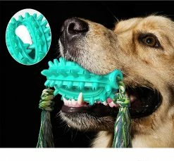 Unbranded Molar Chew Dog Toy - Multifonctionnel - Jouet à Mâcher - Jouet Interactif Molar - Jouet à Mâcher -nourriture pour chien boutique 651753364 max