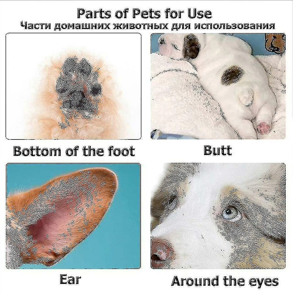 Unbranded Tondeuses Pour Chiens Professionnel Pet Foot Hair Trimmer Dog Growth Scissors Usb Rechargeable Butt Ear Eye Hair Clipper 3 Unbranded Tondeuses Pour Chiens Professionnel Pet Foot Hair Trimmer Dog Growth Scissors Usb Rechargeable Butt Ear Eye Hair Clipper – Image 3