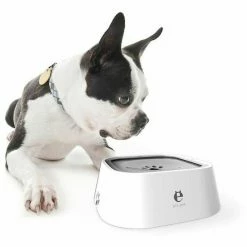 Unbranded Pet Water Bowl Dog Bowl Floating Water Bowl Waterer Drinking Bowl Water Feeder Drinking Fountain 1l White 7 Unbranded Pet Water Bowl Dog Bowl Floating Water Bowl Waterer Drinking Bowl Water Feeder Drinking Fountain 1l White -nourriture pour chien boutique 653353618 max