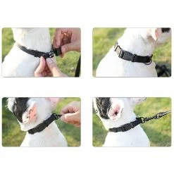 Jccc Charm Réfléchissant Col Bleu;xs Sunrain Tactical Dog Collar Super Soft Neoprene Rempli De Chien -nourriture pour chien boutique 659177967 max