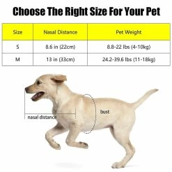 Unbranded Pet Anti-collision Ring Blind Dog Halo Collier, Harnais Dispositif De Guidage Pet Vest 6 Unbranded Pet Anti-collision Ring Blind Dog Halo Collier, Harnais Dispositif De Guidage Pet Vest -nourriture pour chien boutique 660162944 max